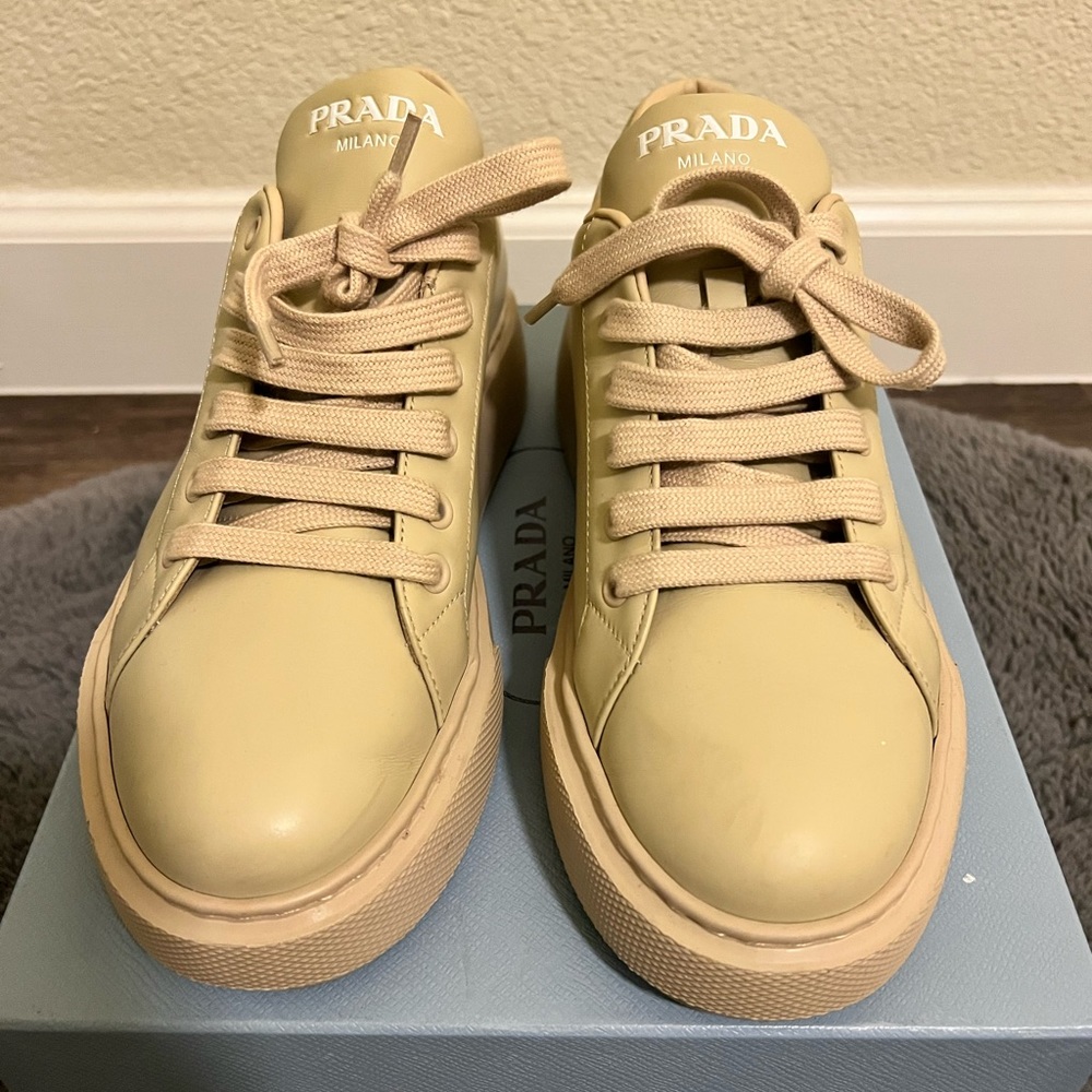 Prada Donna